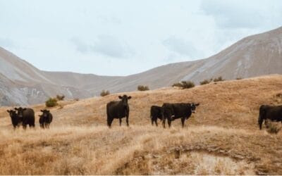 DRESS-EA Project launched in East Africa to address climate challenges in IGAD Region