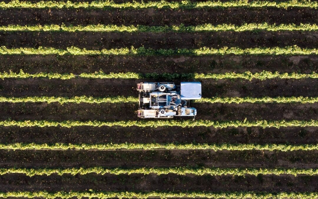 Expert Advisory Group adopt scope and format of High-Level Report, review outcomes of pilot water scorecards