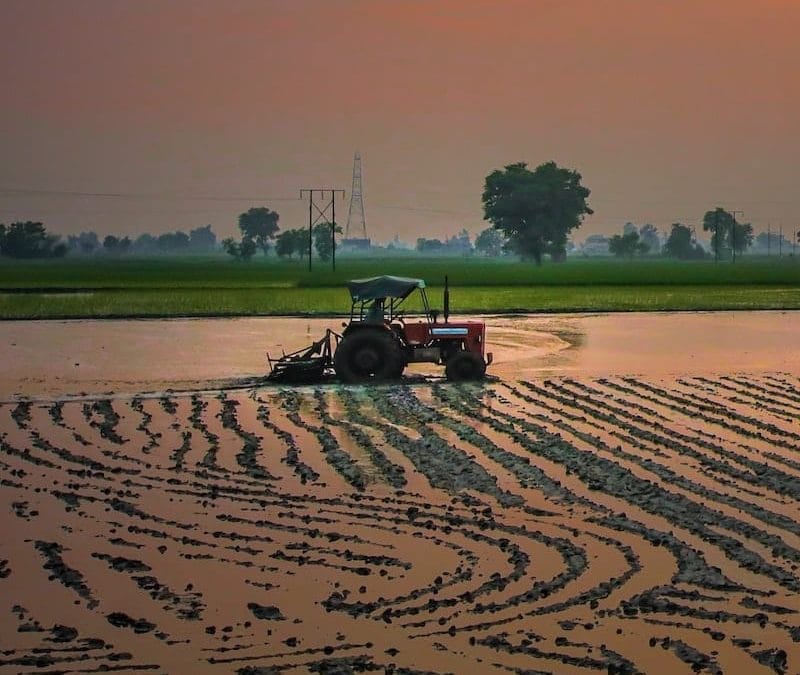 Attend the first stakeholder consultation on High-Level Panel report – 15 December 2022