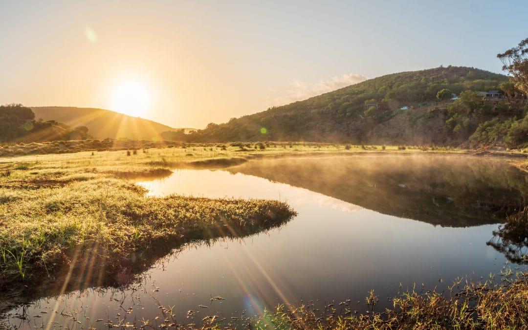 Expert Advisory Group formally inaugurated during Stockholm World Water Week 2022