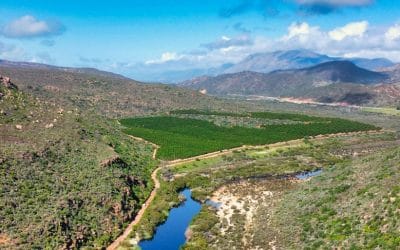 Work with the AIP | Travailler avec l’AIP