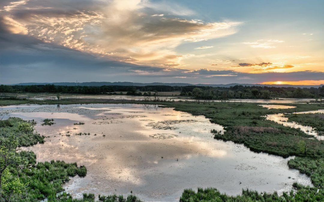 AU-AIP Youth Fellowship | UA-AIP Jeune Stagiaire