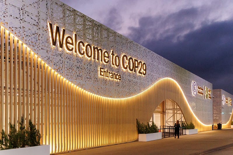 54153763982_031738c81c_c