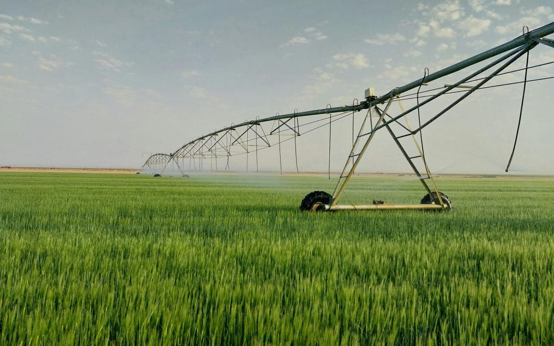 OPINION: How to attract funding to beef up the declining water sector in South Africa