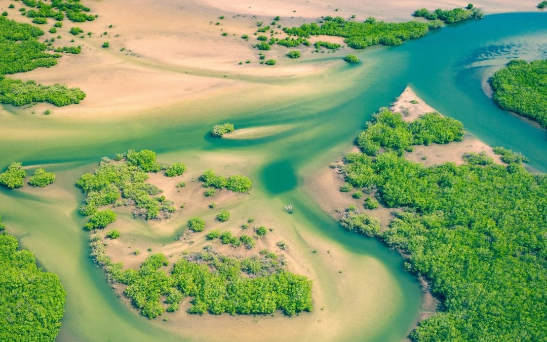 African Union, Partners, to Convene Continental Consultation to Strengthen Transboundary Water Cooperation