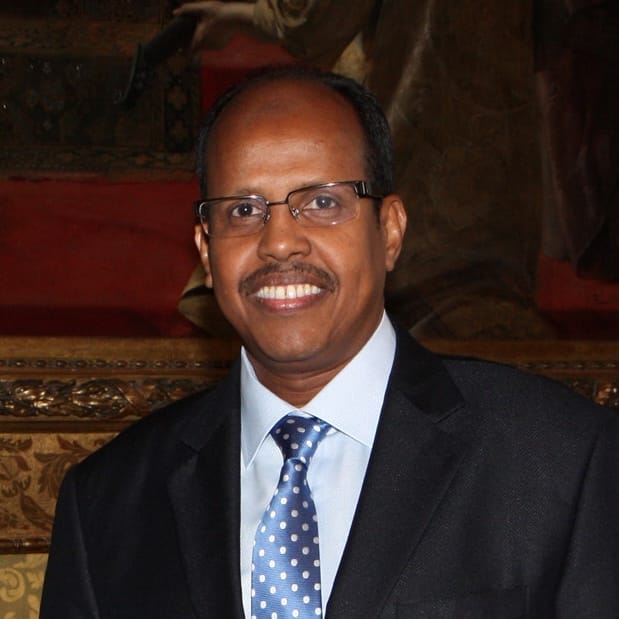 H.E. Mahmoud Ali Youssouf