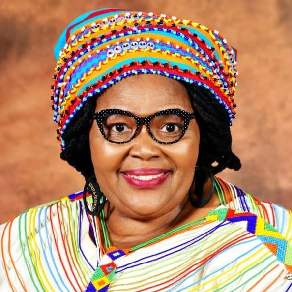 H.E Pemmy Majodina