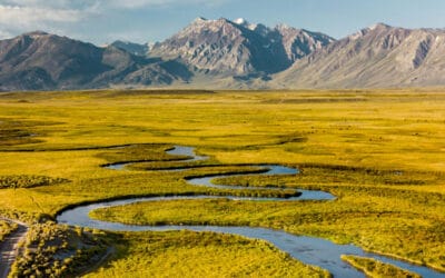 AU-AIP GCF Readiness Initiative Accelerates Climate-Resilient Water Investments Across 15 African Countries, Advancing Global Transformation Agenda