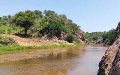 15 Countries, One Vision: AU-AIP Readiness Initiative Accelerates Climate-Resilient Water Investments Across Africa