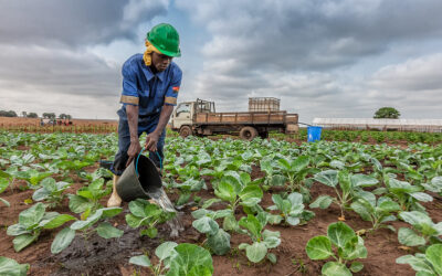 AU Member States Make Progress in Strengthening Institutional Capacity and Advancing Climate-Resilient Water Investments 